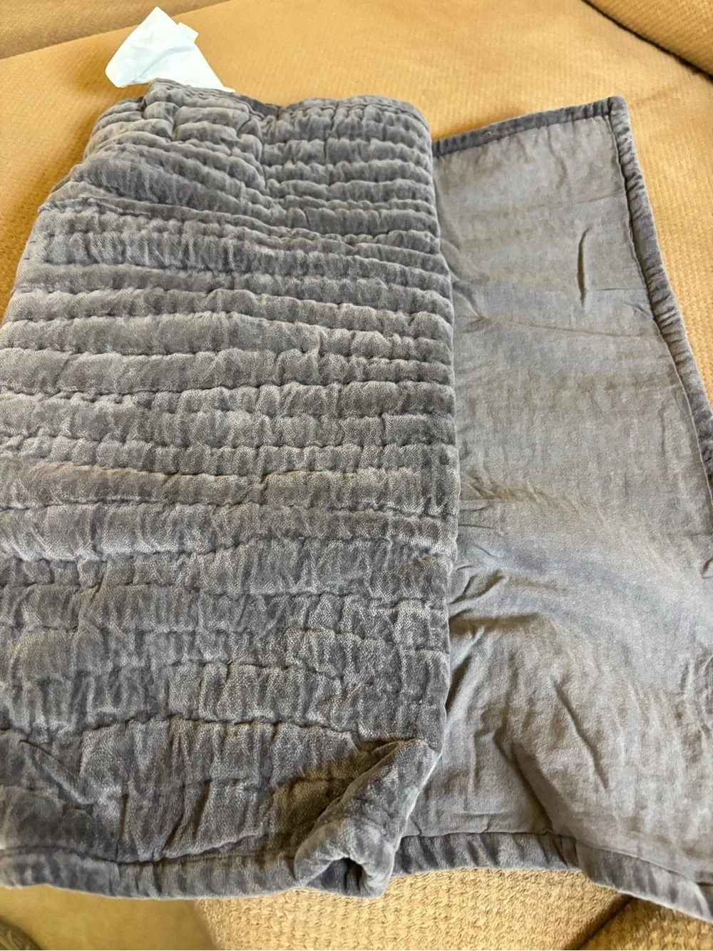 NWT Pottery Barn Olivia Velvet King Pillow Sham Gray Luxury Bedding Cover